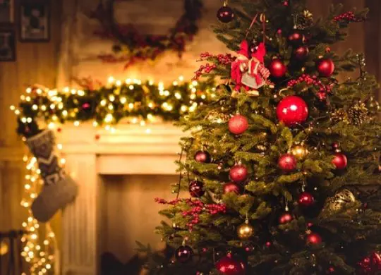 Как Рождество отмечается в Европе: самые интересные традиции в разных странах