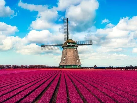 How to get from the Netherlands to Ukraine: convenient routes