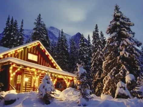 Как провести Новый год 2026 в Украине в условиях войны?