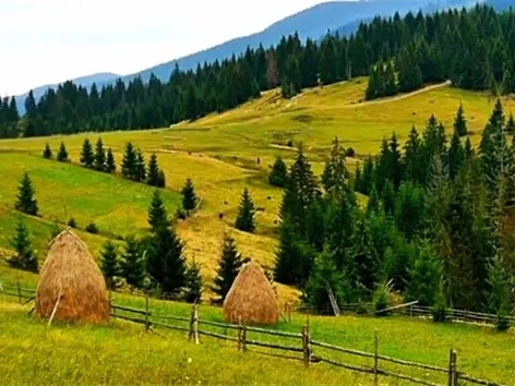 Закарпатье — это вселенная, вращающаяся вокруг еды: рекомендации Антона Птушкина и Миши Кацурина