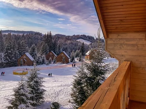 How much will a vacation in the Carpathians in November-December cost?