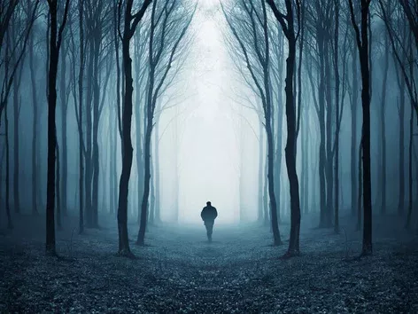 Legends and anomalies: the most mysterious places in Ukraine