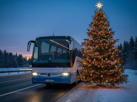 Сколько на самом деле стоит зимняя автобусная поездка по Европе и что определяет цену?