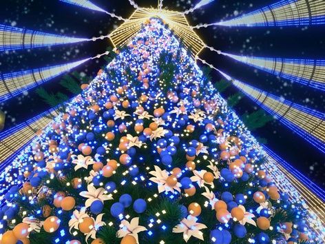 Trident, national colors and increased security: what will be the main Christmas tree of the country in wartime