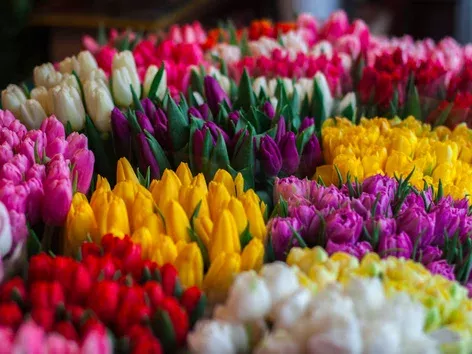 March 8 in Ukraine: a celebration of women's strength, beauty and courage