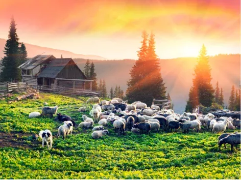 Where to go for Easter 2024? A selection of top tours in Ukraine for spring holidays