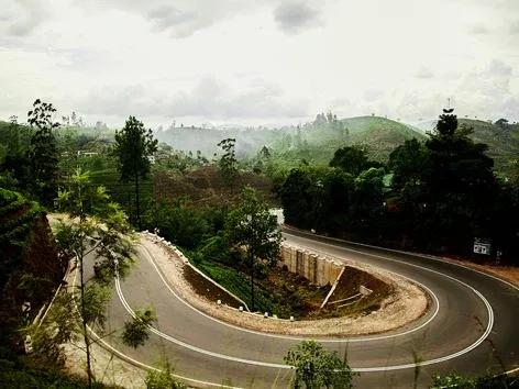 Sri Lanka to issue driver's licenses to foreigners at the airport: what is known