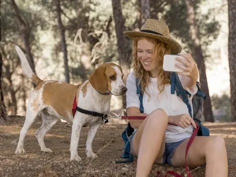 Haustiere an der Grenze: Welche Dokumente können verwendet werden, um nach Ukraine zurückzukehren?