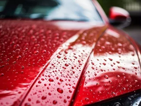 How to recognise a drowned car: useful tips for drivers