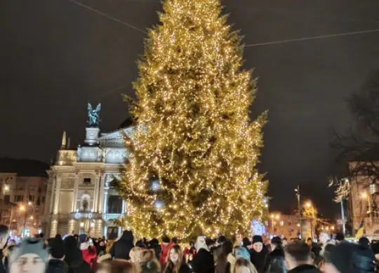 Главная рождественская елка Львова уже на площади: как она будет выглядеть в этом сезоне