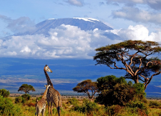 Без вакцин та карантину: куди можна поїхати українцю з тестом чи без нього (частина 2)