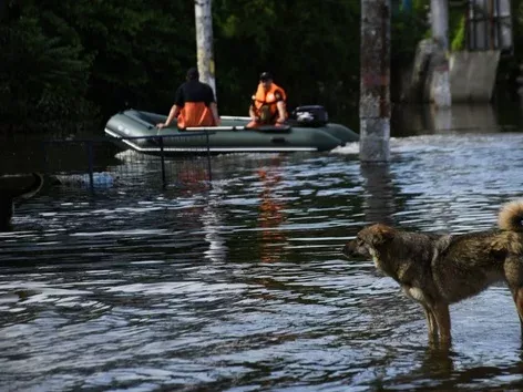 Финансовая поддержка: подборка организаций, которые помогают пострадавшим Херсонщины