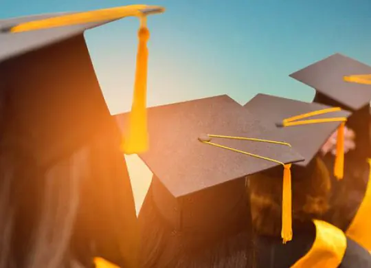 Ukrainian students can receive a grant to study on the Diia platform: what is known