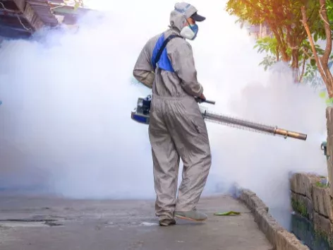 Is the tourist season under threat? Dangerous infection has become more active in Europe amid the heatwave