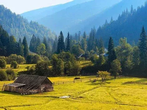 Куда поехать летом 2025 года с компанией в Украине?