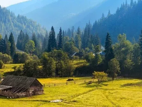 Лучшие села в Карпатах для отдыха летом: куда поехать в 2025 году?