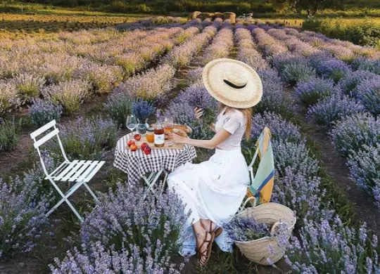 Что скрывает в себе Кировоградщина: лучшие локации по рекомендации Макса Узола и Оли Манько