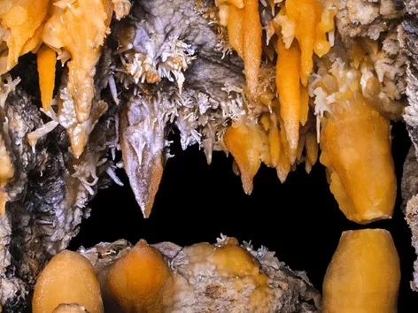 Optimistic Cave: travel through the longest gypsum cave in the world and learn its history