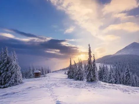 Wonders of Zakarpattia and Lumshory: go on a magical journey with Visit Ukraine