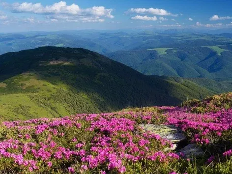 Where to go in spring 2025?