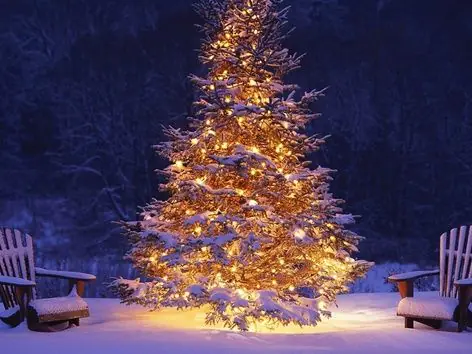 New Year's party in the mountains: celebrate with Visit Ukraine