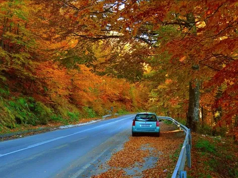 Where to go on vacation abroad in the fall with your own car?